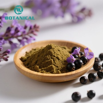 chasteberry extract