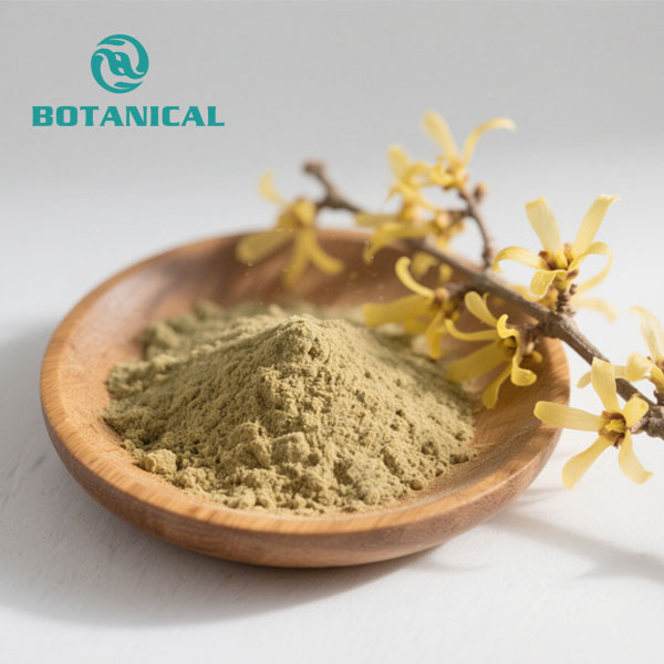 Hamamelis virginiana extract 1.jpg