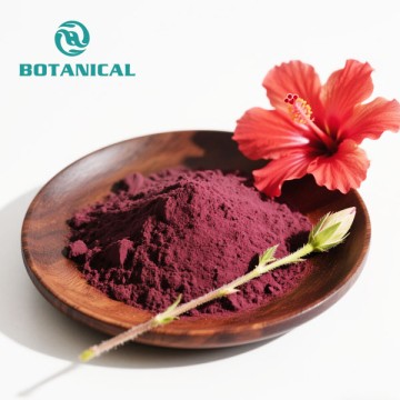 Hibiscus flower extract Powder