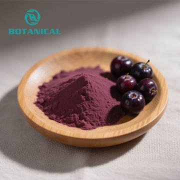 Maqui Berry Extract