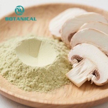 Oyster Mushroom Extract