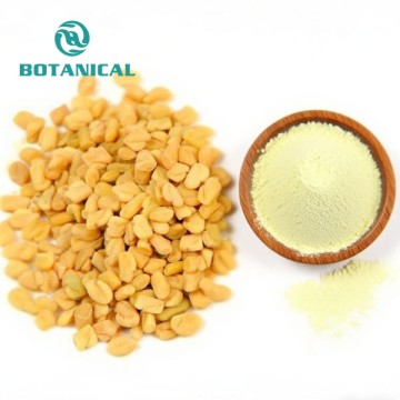 Trigonelline fenugreek powder
