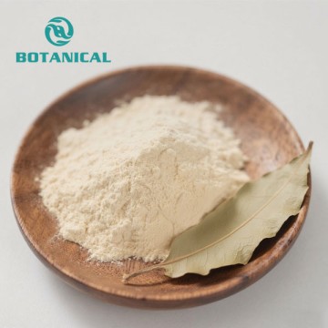 astragalus leaf powder