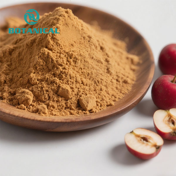 hawthorn berry extract powder 1.jpg