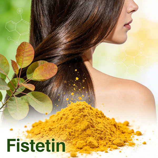 Does fisetin help hair growth?