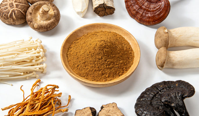 Poudre de mélange de champignons fonctionnels 2