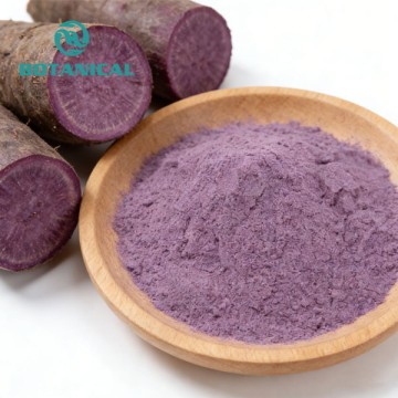 Extracto puro de ñame morado de Ube