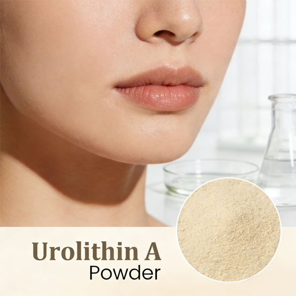 What is Urolithin A for skin?