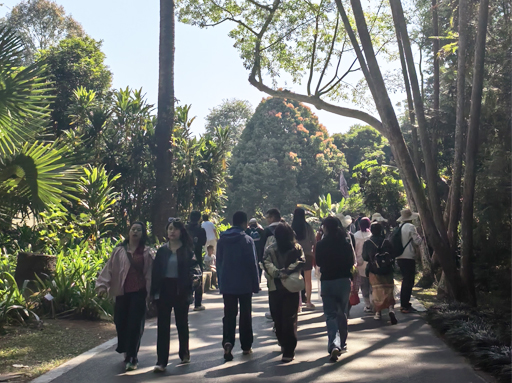 Xishuangbanna Journey 5