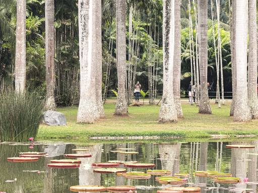 Xishuangbanna Journey 7