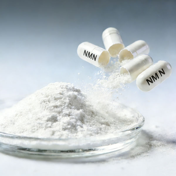 Can NMN Supplements Boost NAD+?
