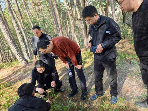 Base de matière première d'épimède 3