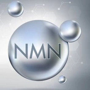 Does NMN Powder Slow Aging?