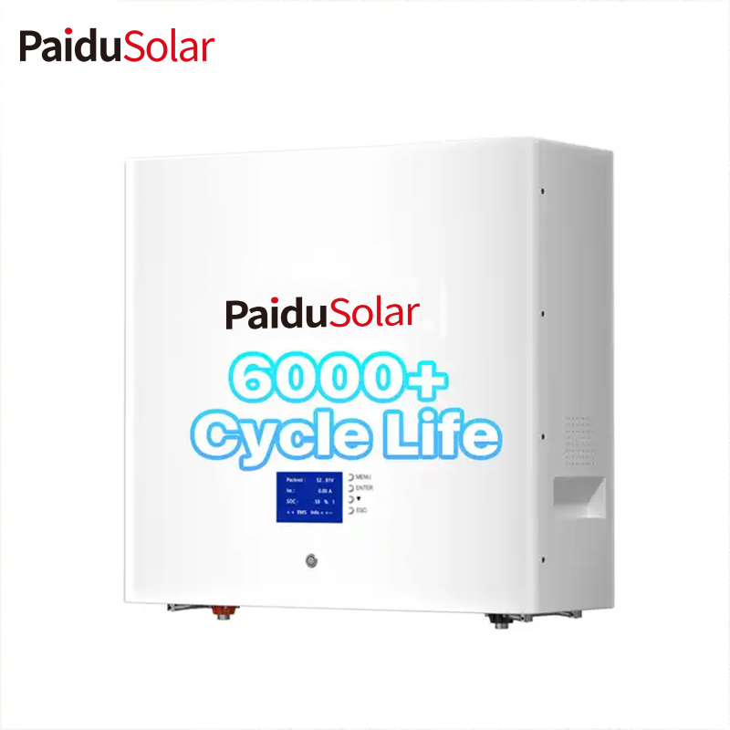 PaiduSolar LiFePO4 Lithium battery Wall Mounted 48v 200ah 10kwh Home Power Storage Solar Energy S...