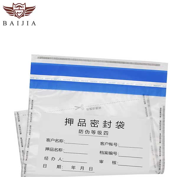 OEMODM Evidence Security Bag (8)