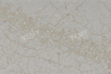 VM-20240719