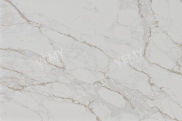 VM-20241023