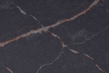 VM-20241209
