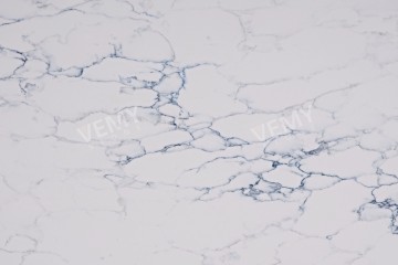 VM-20241227