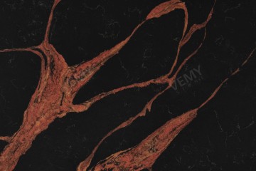 VM20241115