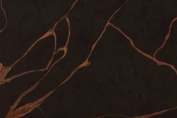 VM20241221