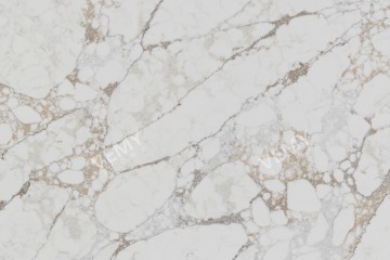 Calacatta Oro-VM-20230313