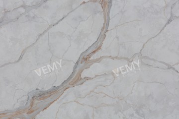 Φανταχτερό Χρυσό-VM-20221122