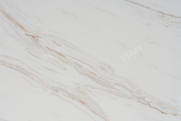 VM-20231206