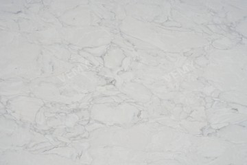 VM-20231211
