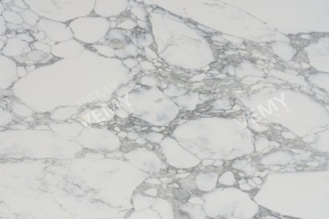 VM-20231212