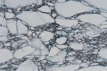 VM-20231213