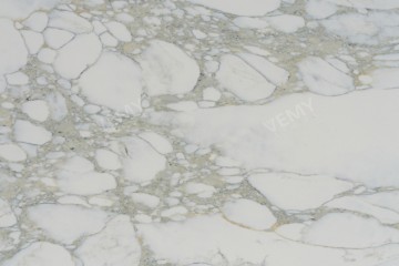 VM-20240106
