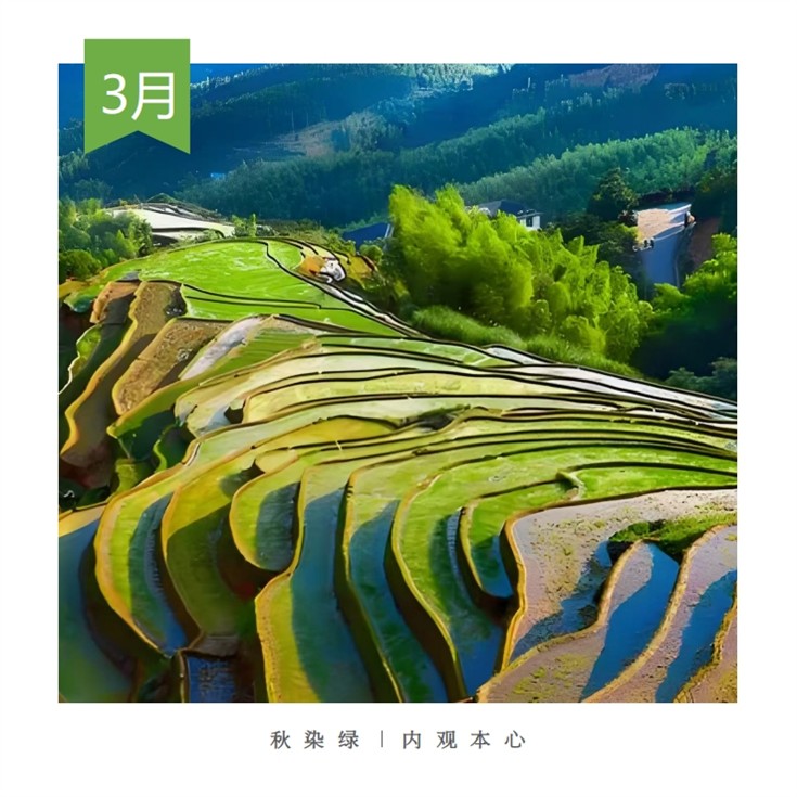 3、Autumn Green Introspection of the Heart