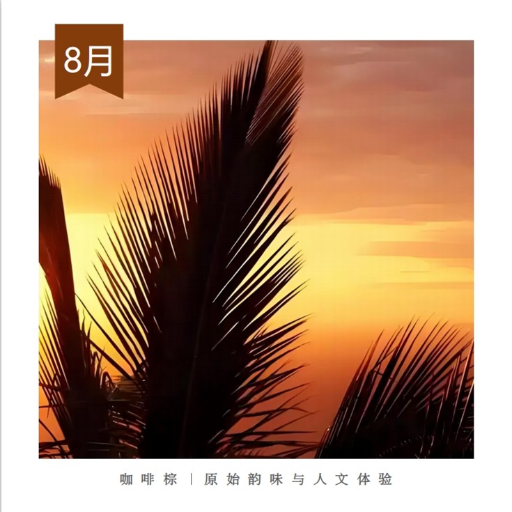 8、Coffee Brown Original Charm and Humanistic Experience