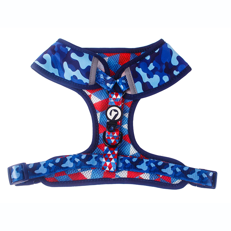Large Dog Harness Collar Leash Sets