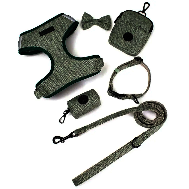 Puppy Harness and Lead