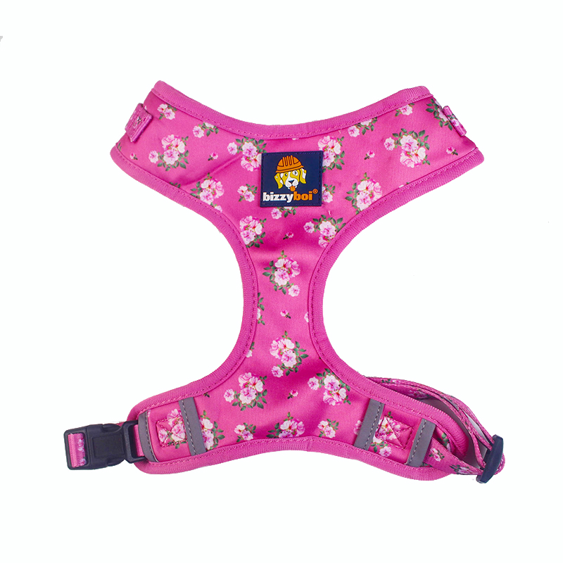 OEM Factory For Waterproof Dog Harness