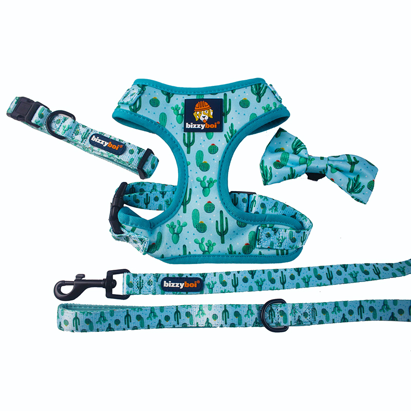 OEM Factory Puppy Harness And Leash