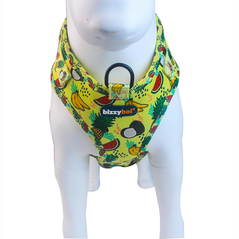 French Bulldog Harness with Front Clip
