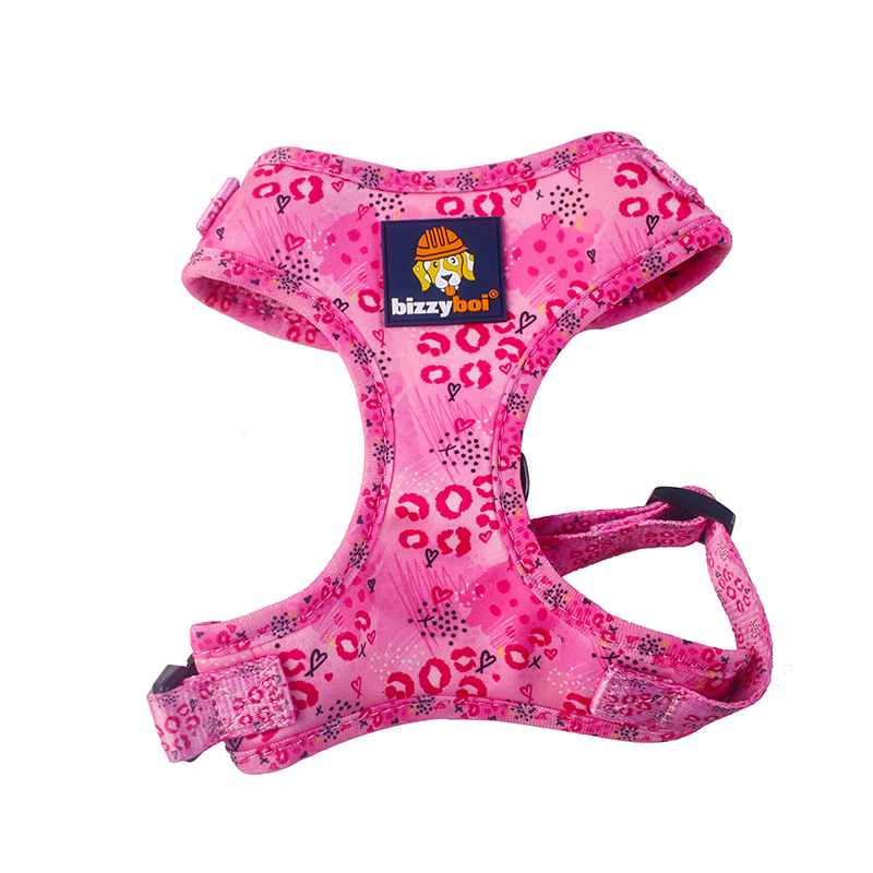 China Factory For Dog Harness Collars Set