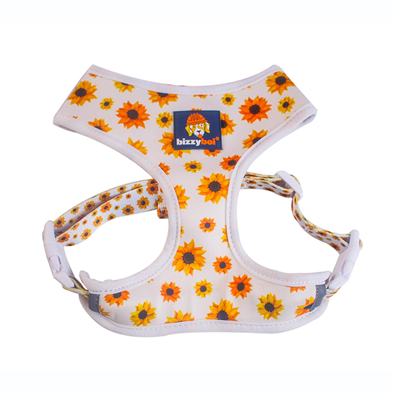 OEM Reversible Puppy Harness For Dogs from China