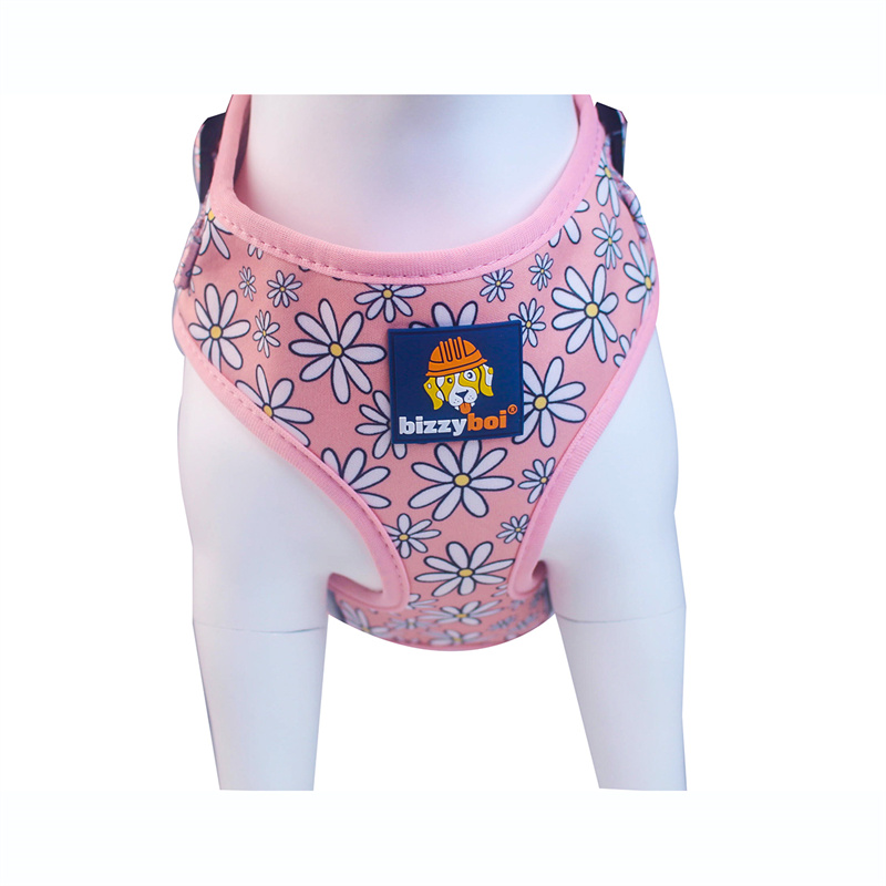 China Factory for Dog Harnesses and Leash Set