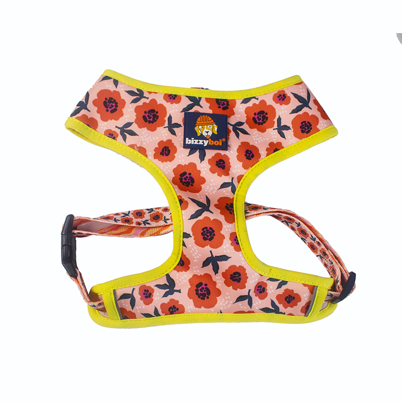 Best Dog Harness for Puppy Dog