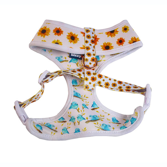 Export Harness for Frenchie Dog