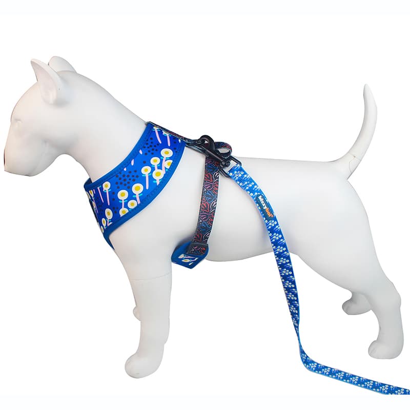 Sale Freedom Harness Dog from China