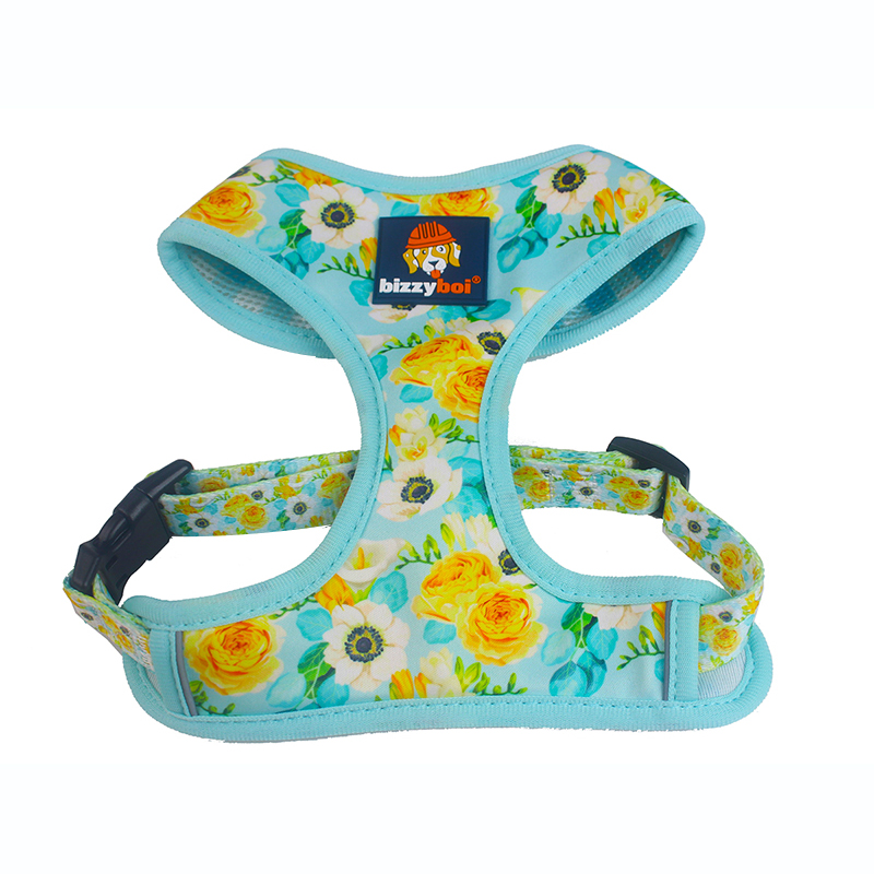 China Factory for Best Frenchie Dog Harness