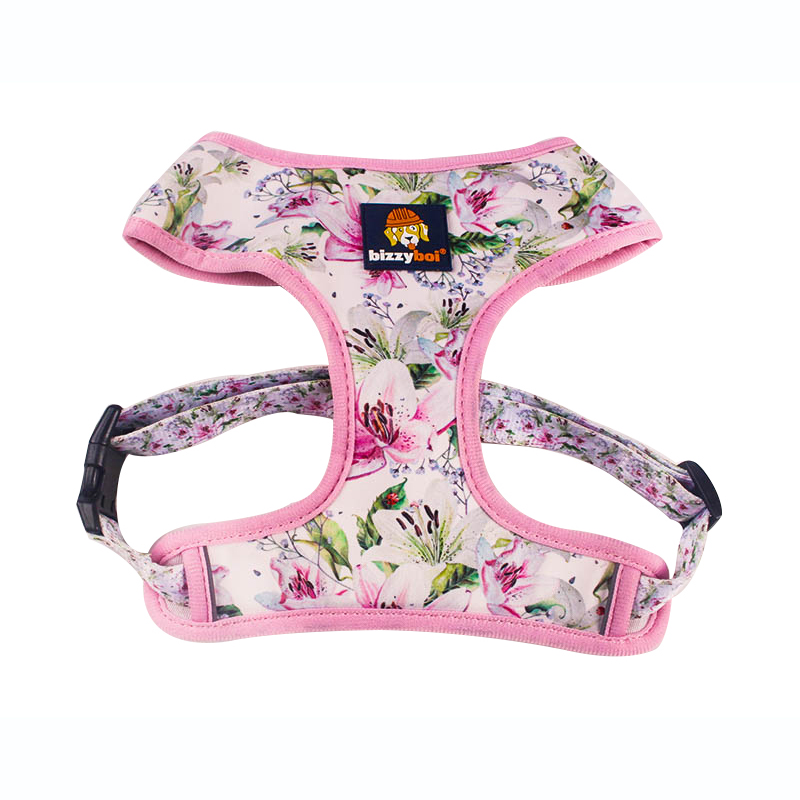 China Plant for Dog Harness Leash Set