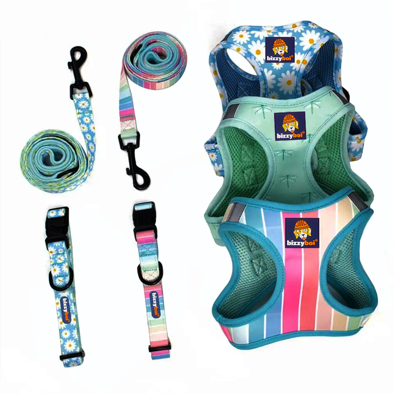 Easy On Easy Off Harness for Dogs