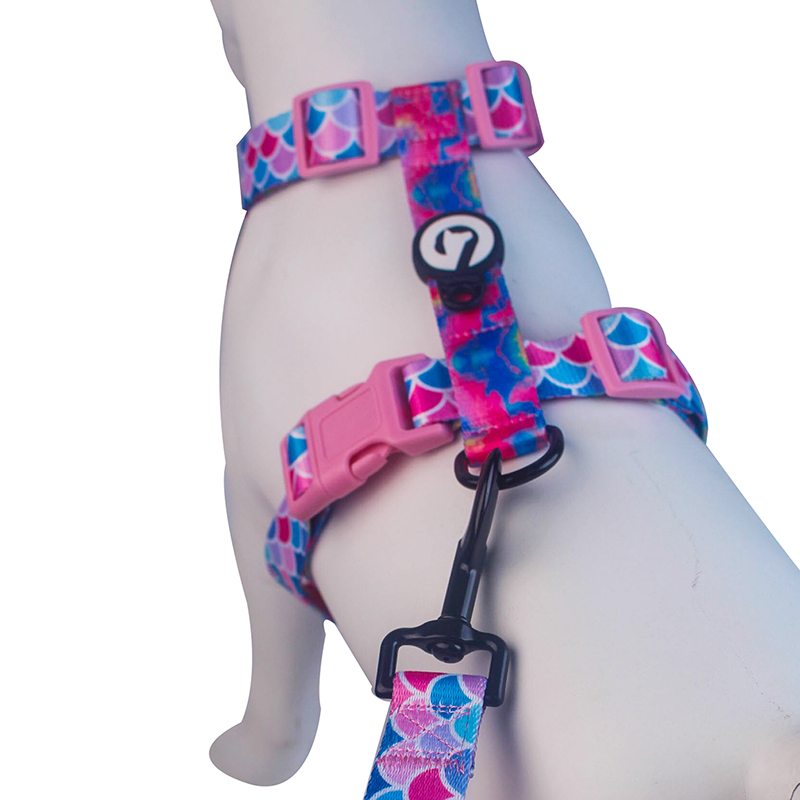China Factory for Big Dog Harness