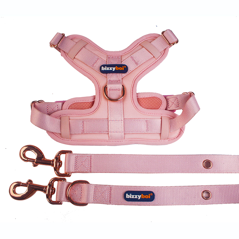 China Manufacturer for No Tug Dog Harness